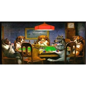 Dogs Playing Poker Photo License Plate  